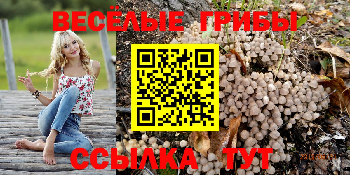 ГАШ  Кубинка  Меф МЯУ МЯУ кристаллы  А ПВП СК   Канабис  НБОМе  Вход с VPN  Марихуана 